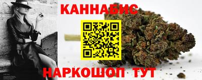 spice Новодвинск