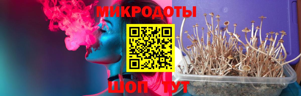 Галлюциногенные грибы MAGIC MUSHROOMS Славянск-на-Кубани